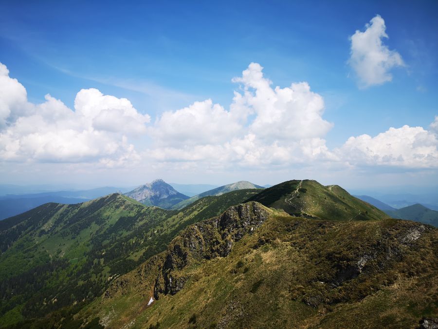 Hřeben Malé Fatry v létě, v pozadí špičatý vrchol Velkého Rozsutce
