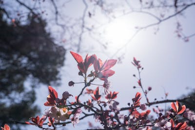 女朋友的姐姐生日快乐祝福语 女朋友姐姐过生日怎么说