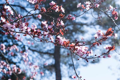 关于2月29日生日祝福语 2月29日 生日