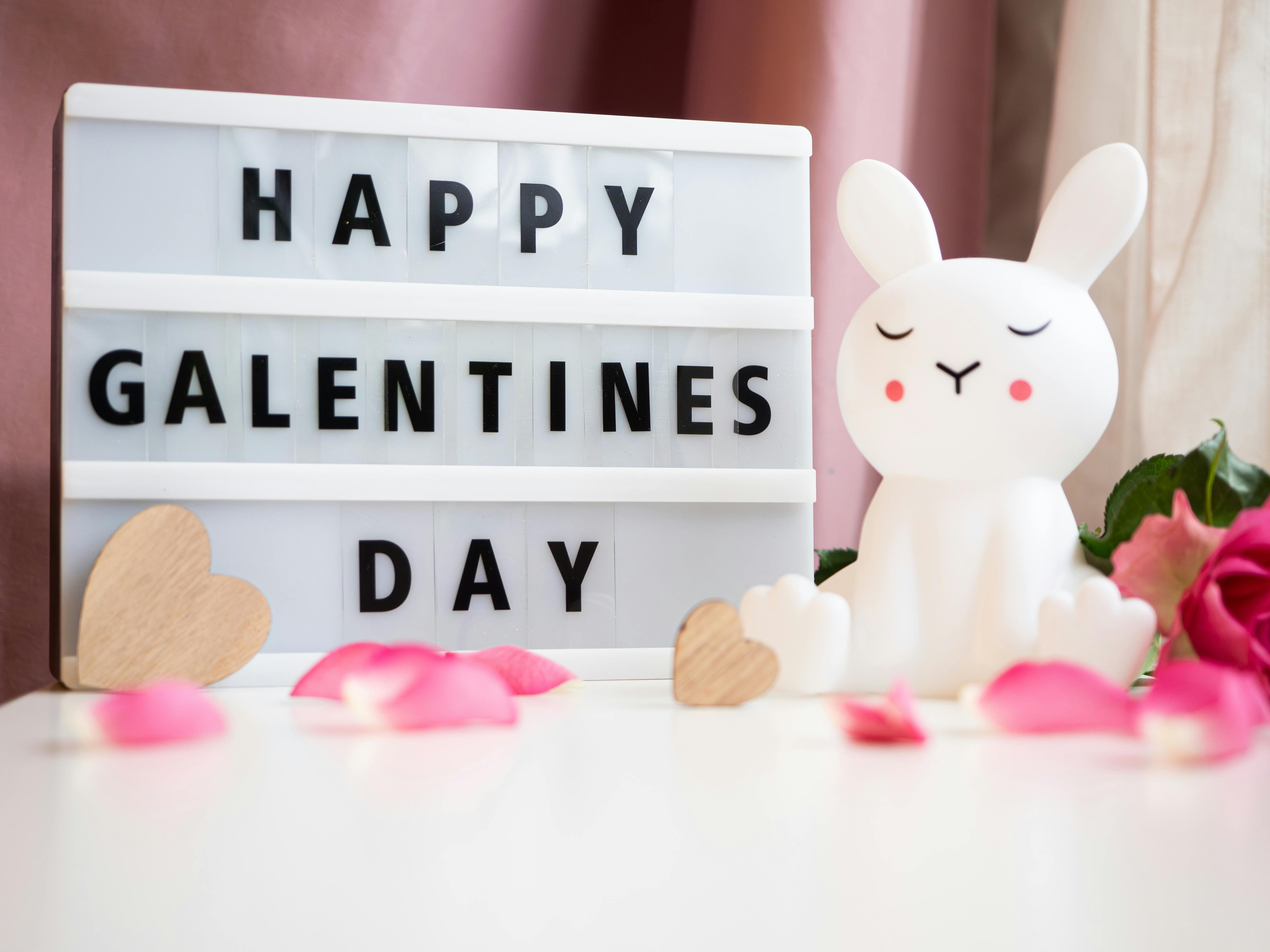 Galentines Photos Download The BEST Free Galentines Stock Photos HD Galentines Photos Download The BEST Free Galentines Stock Photos HD
