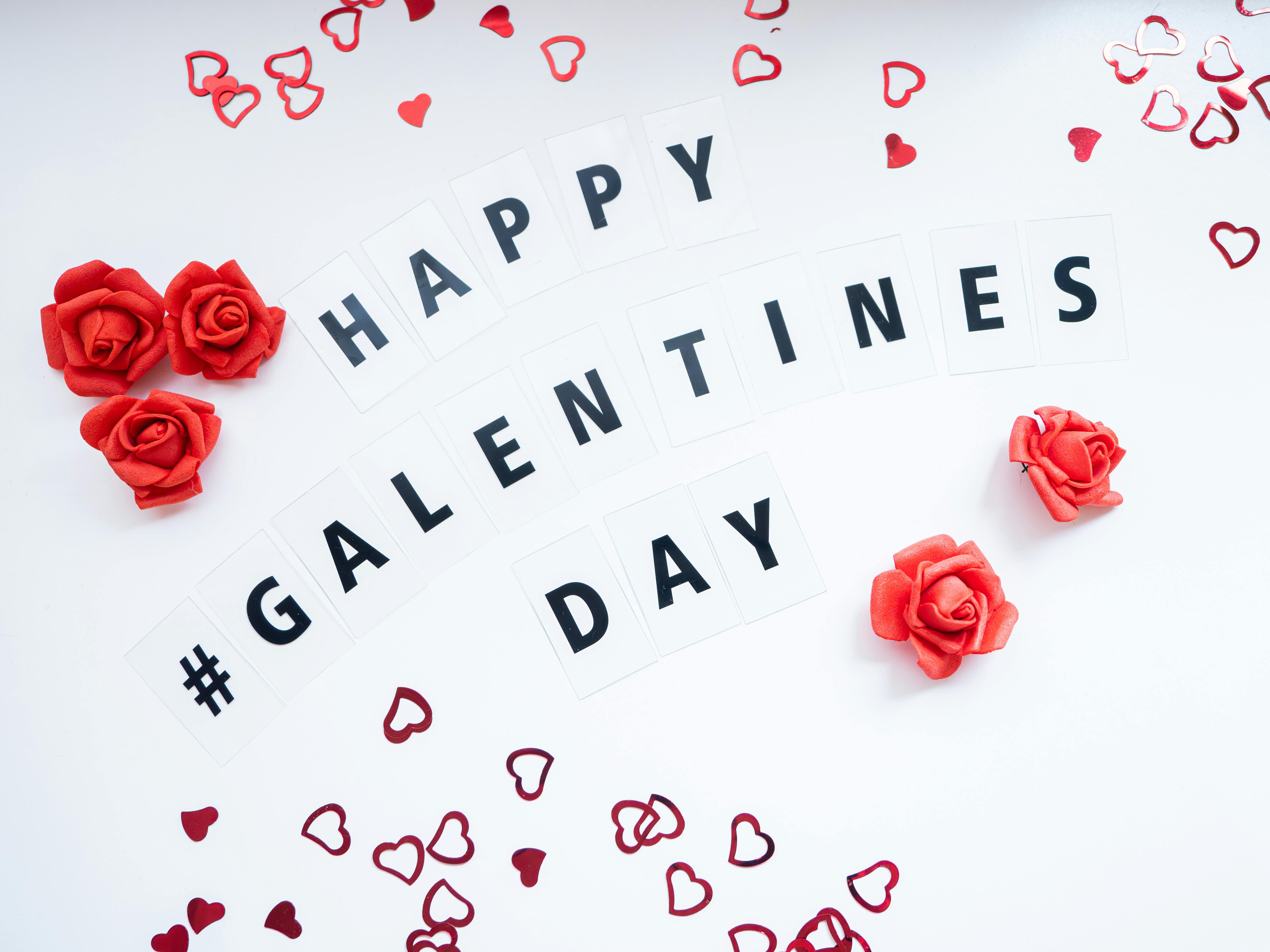 Galentines Photos Download The BEST Free Galentines Stock Photos HD
