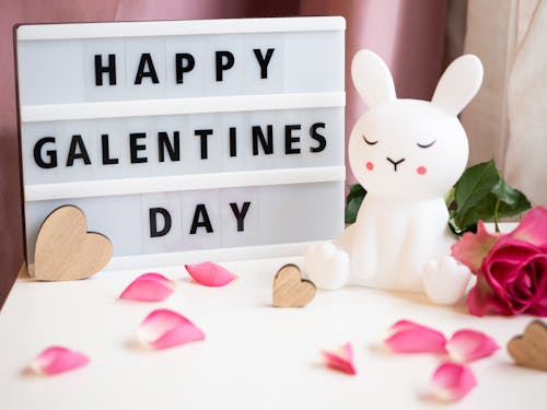 Decoration for Galentines Day