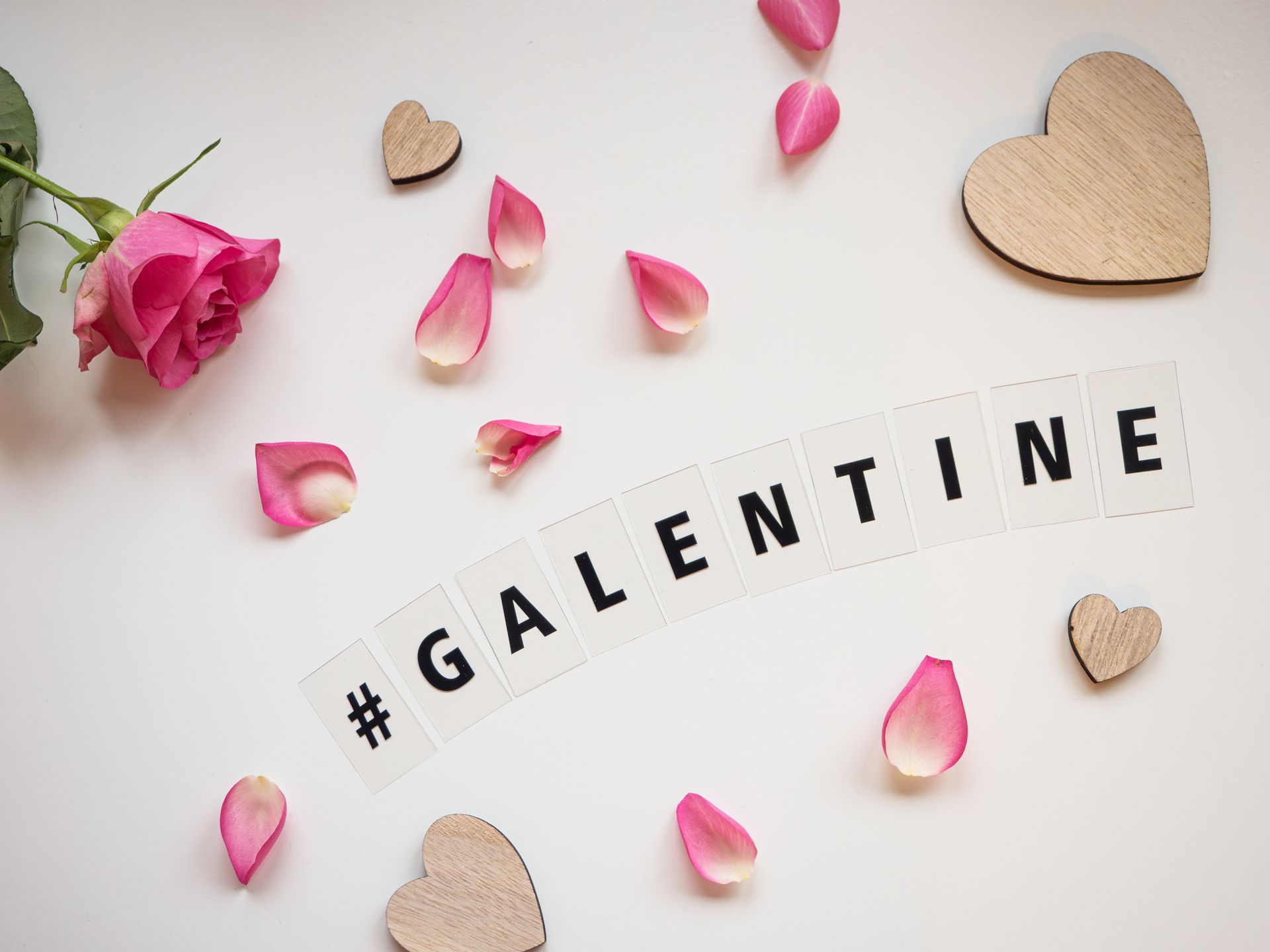 Galentine Text and Hearts and Rose Petals around