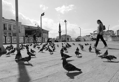 Woman Walking near Pigeons on Pavement