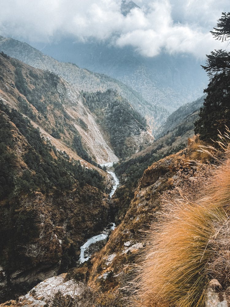 River In Valley