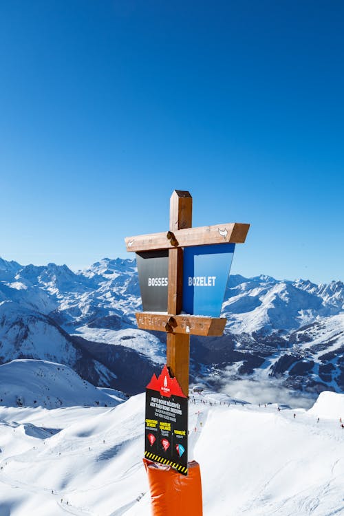 Kostenloses Stock Foto zu alpen, berg, chef babes