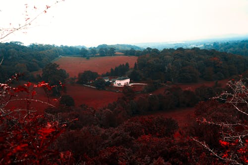 Infra Red photography of a mansion