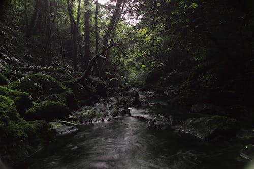 Infrared photography