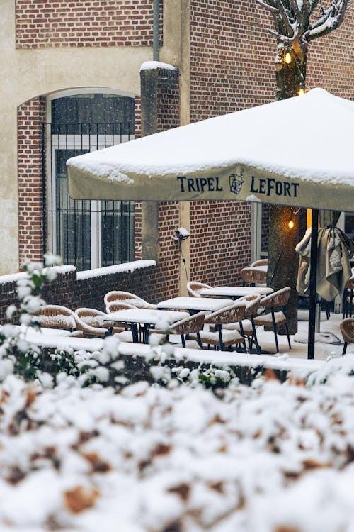 冬季, 咖啡店, 垂直拍摄 的 免费素材图片
