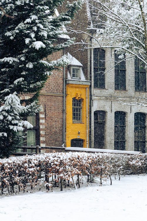 Kostnadsfri bild av frankrike, gul, hus