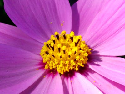 教师节祝词简洁 教师节祝福词简单