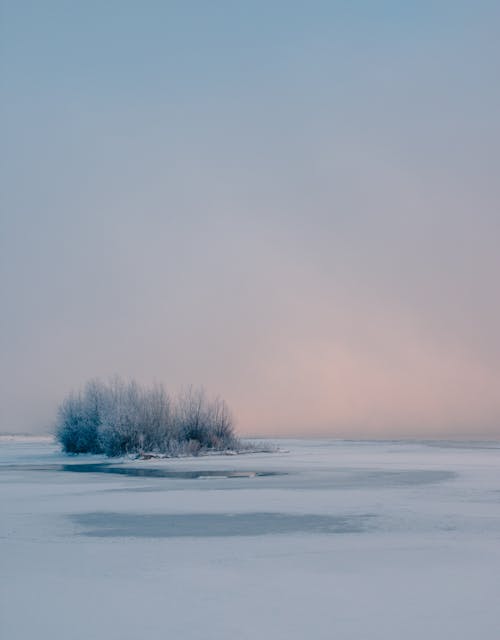 akşam karanlığı, buz, buz kaplı içeren Ücretsiz stok fotoğraf