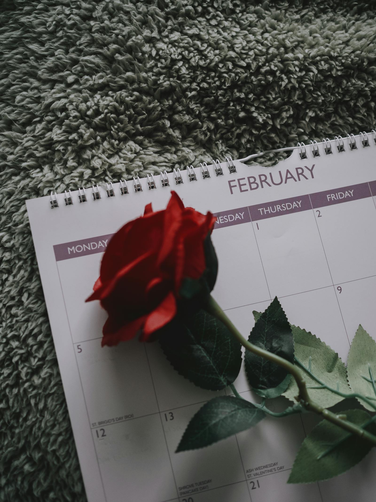 February Calendar Photos Download The BEST Free February Calendar