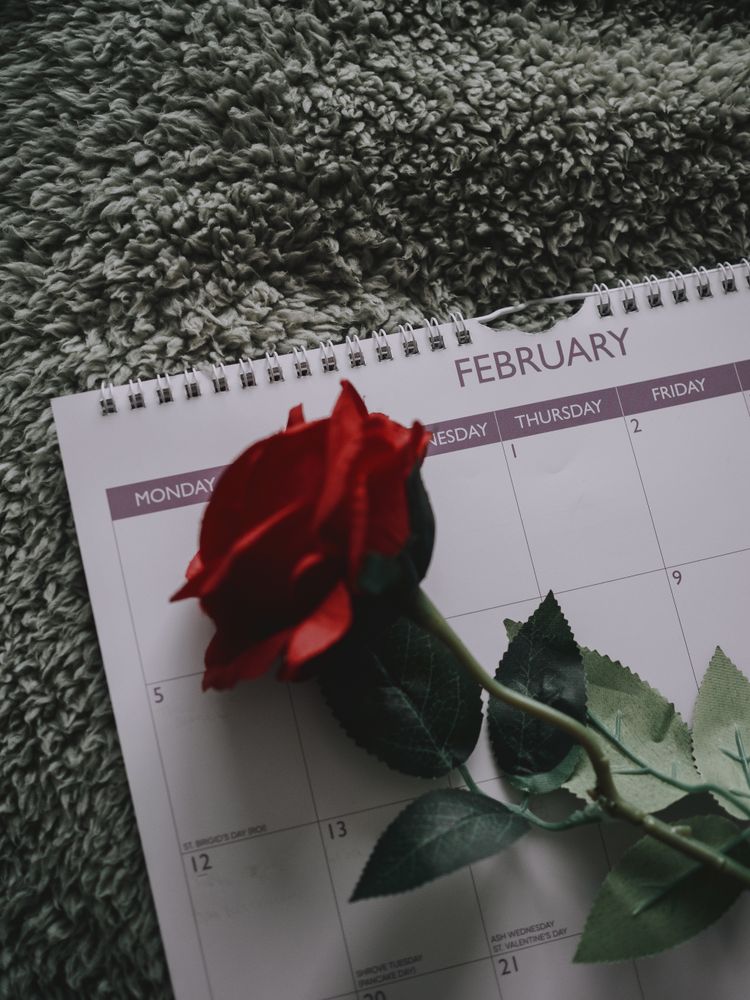 February Photos, Download The BEST Free February Stock Photos & HD Images