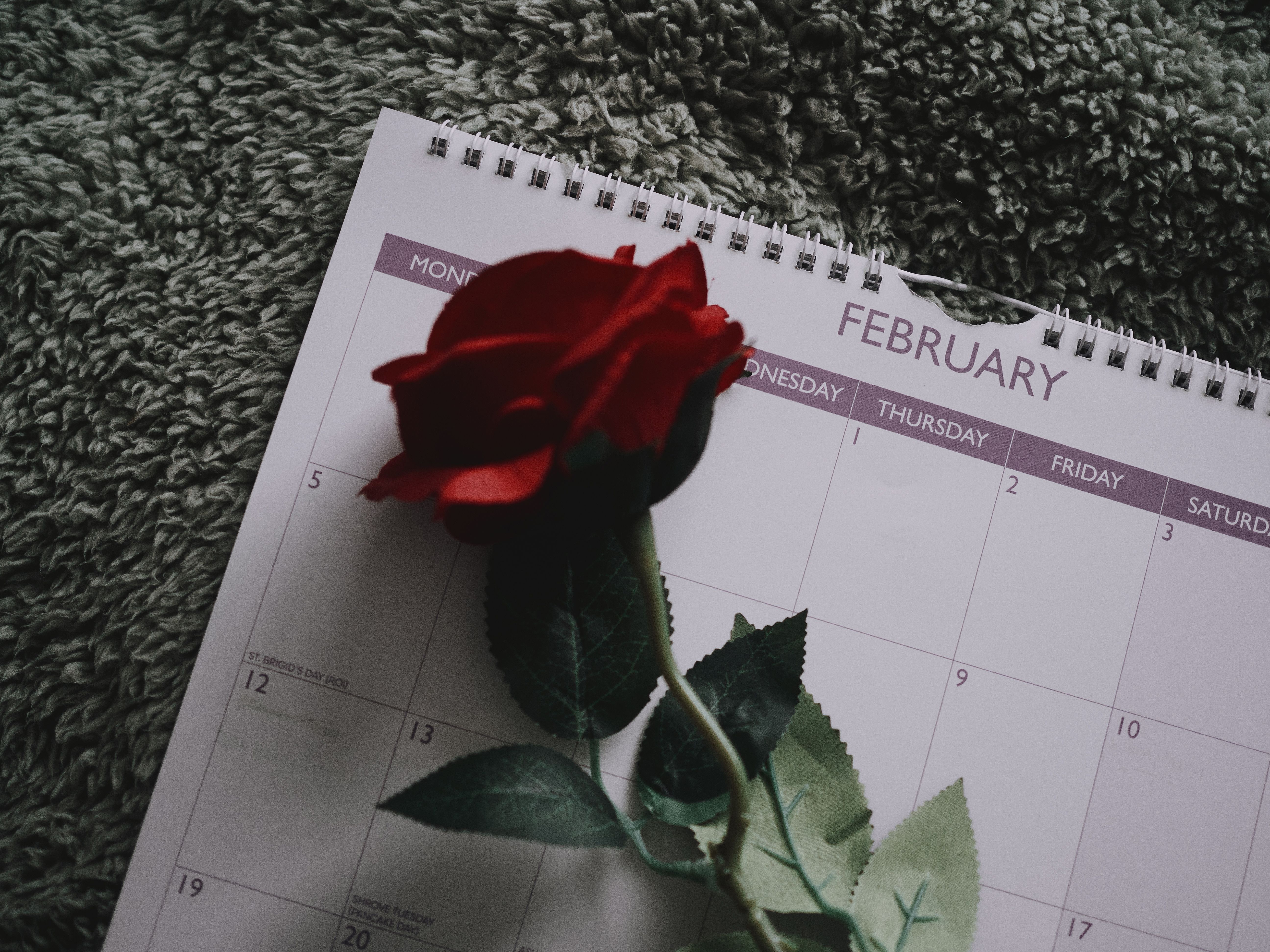 X 1990年 Rose & Blood Calendar Roses | 2026 12 x 24 Inch (Hanging) Monthly Square Wall Calendar