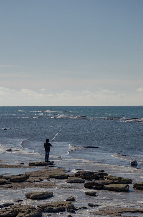 Ilmainen kuvapankkikuva tunnisteilla kalastaja, kalastus, kivet