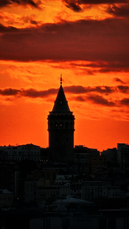 Foto d'estoc gratuïta de gall dindi, Istanbul, torre de galata
