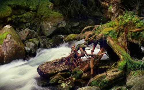 Long Exposure of a Rapidly Flowing River between Rocks Covered in Moss