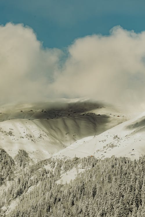 Бесплатное стоковое фото с Аэрофотосъемка, вертикальный выстрел, горы