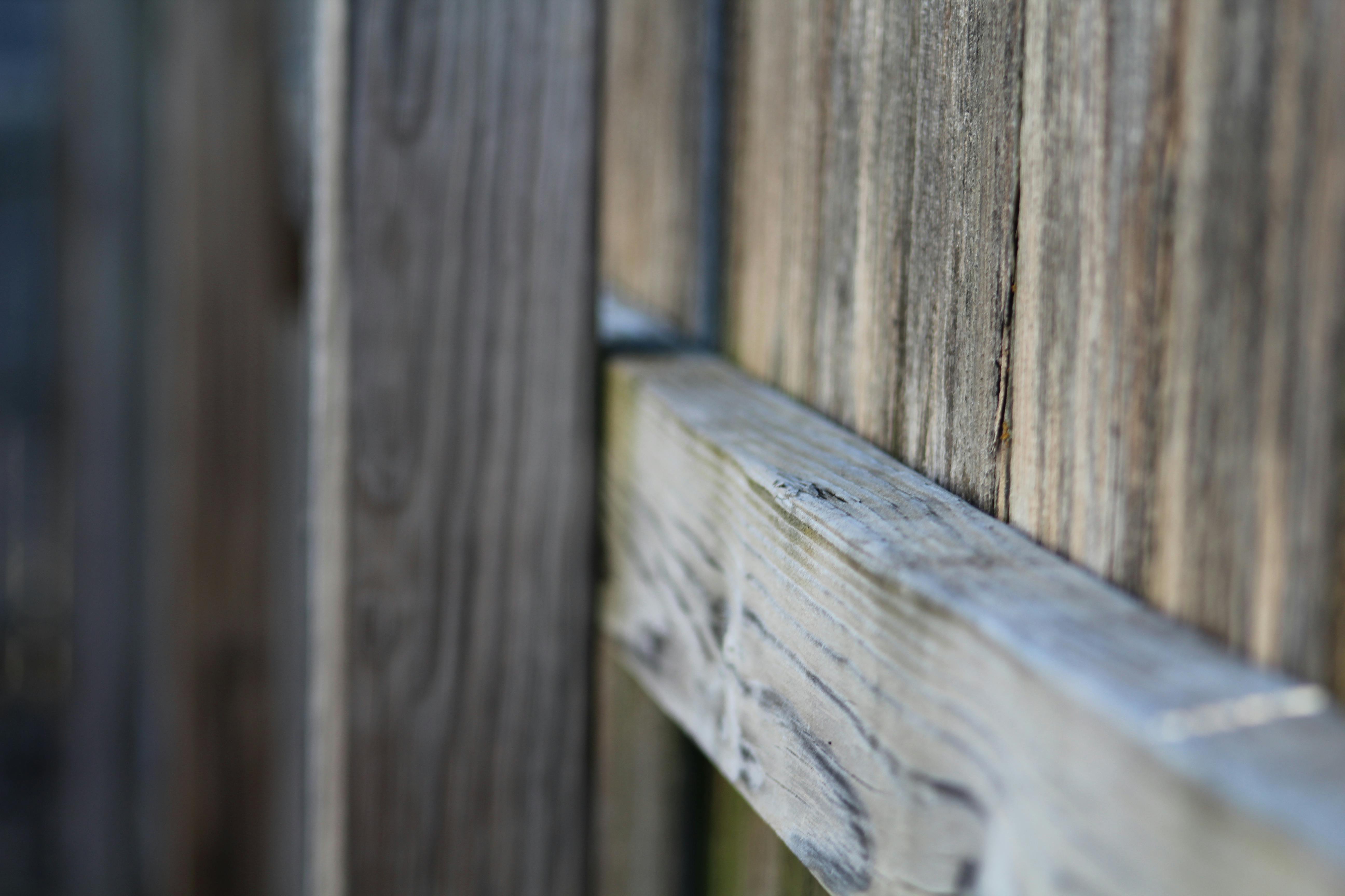 Free stock photo of fence, old, old wood