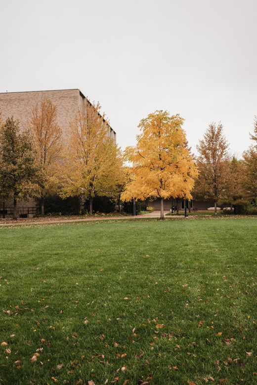 Autumn trees on a college lawn — photo by Kelsey A on Pexels