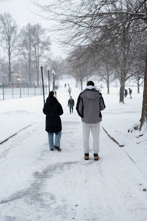 Gratis lagerfoto af aktiv livsstil, aktivt liv, by