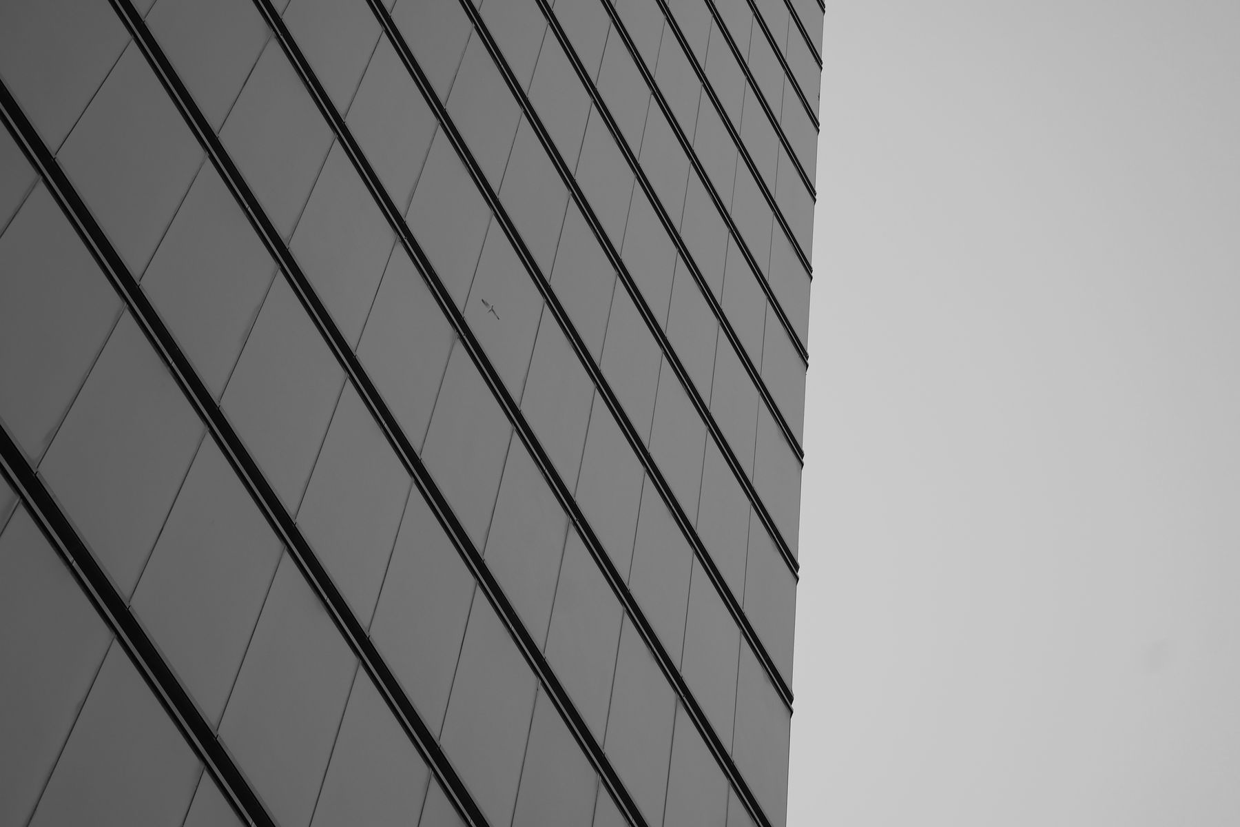 insights image