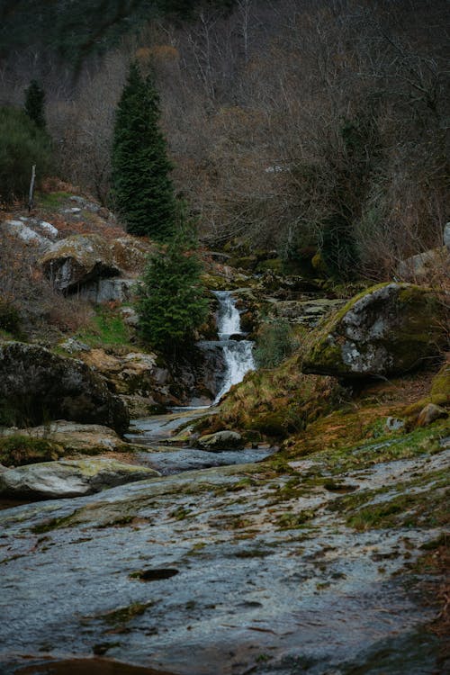 Fotobanka s bezplatnými fotkami na tému divá príroda, hory, krajina