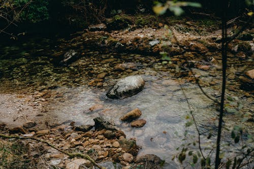 Rocks in Stream