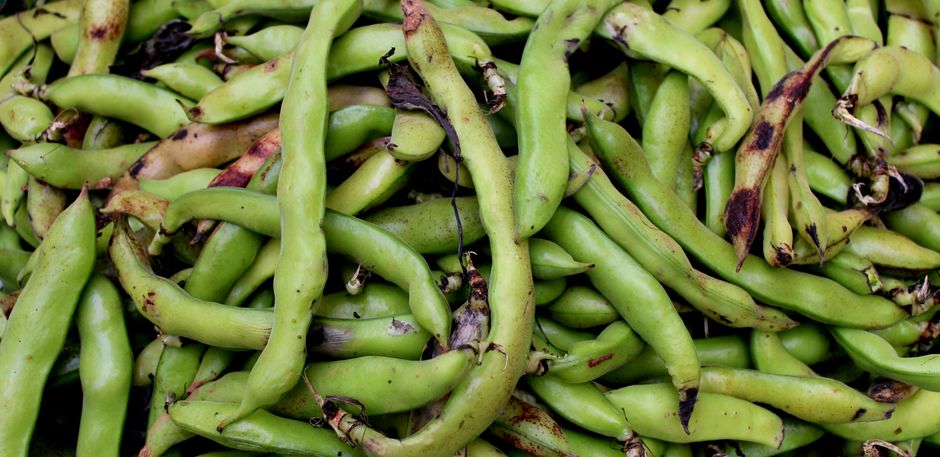 A heap of fresh green beans, captured in a top view, showcasing natural vibrancy.