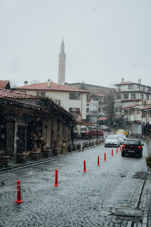 Ilmainen kuvapankkikuva tunnisteilla ankara, kalkkuna, katu