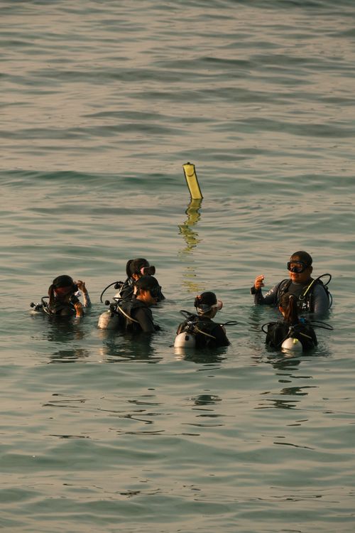 Divers training in open water