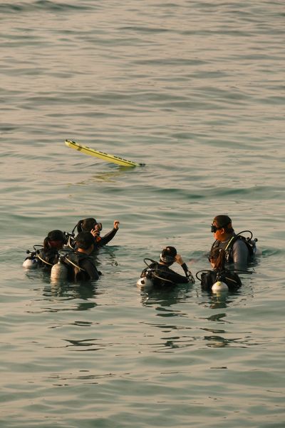 Divers surfacing together
