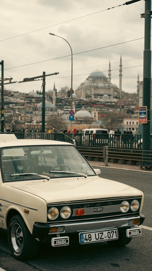 Imagine de stoc gratuită din automobil, călătorie, curcan