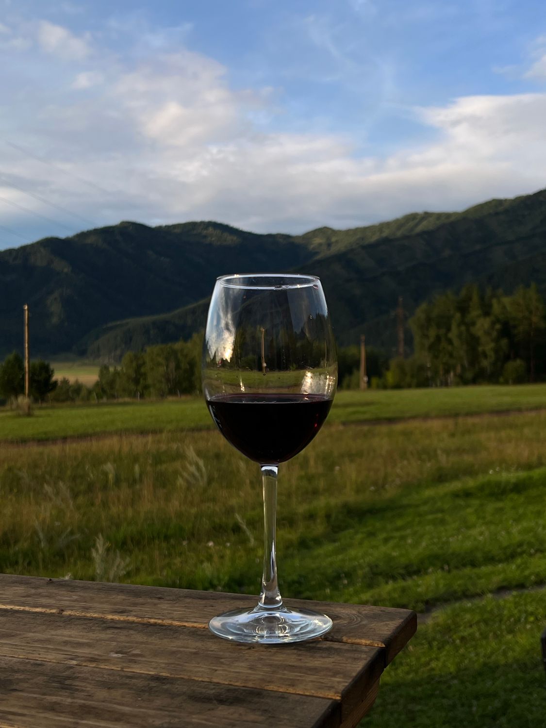 What Is Natural Wine? A Beginner’s Guide to Raw & Organic Wines 2 free photo of alkohol skog trad glas