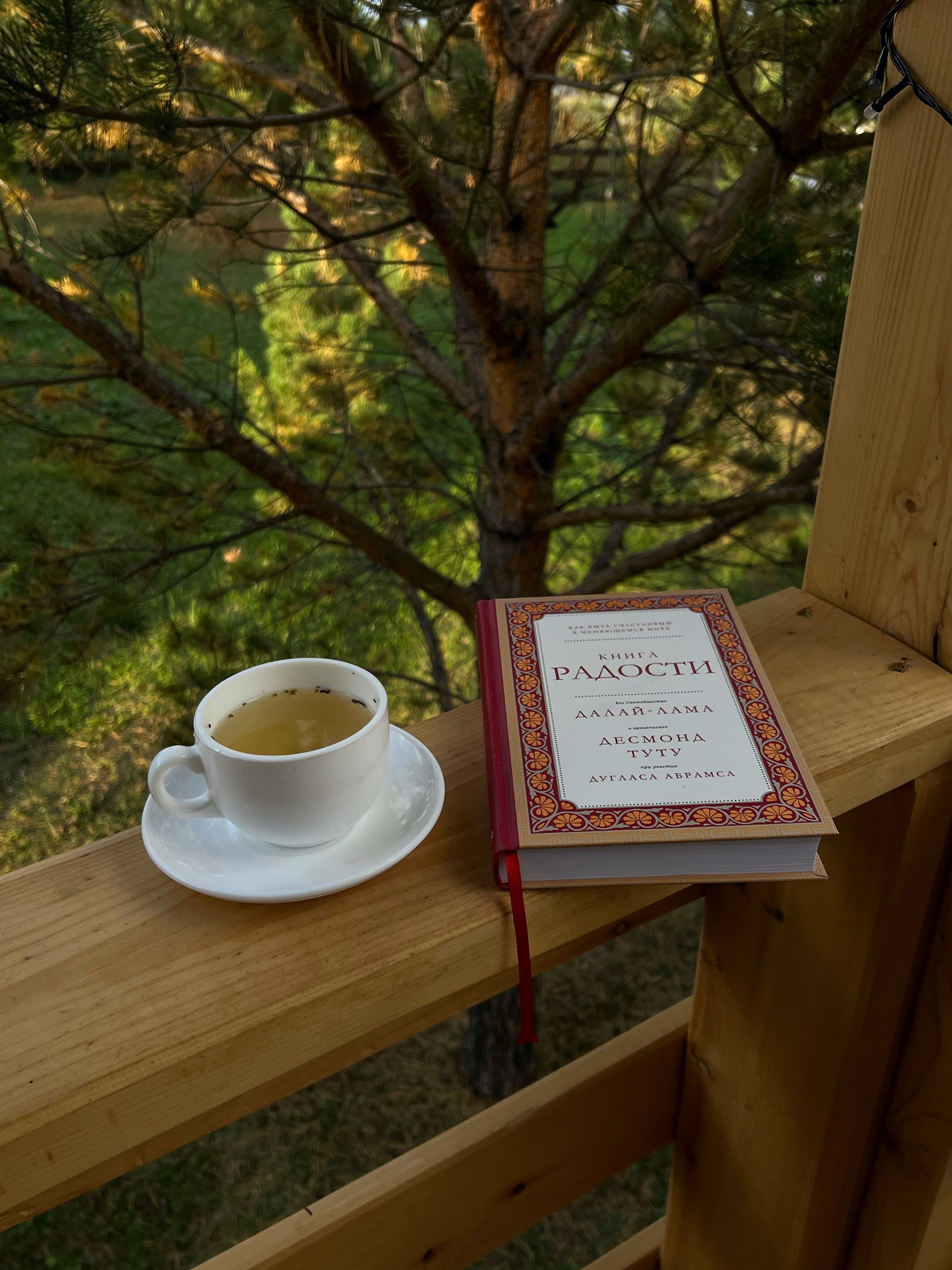 A cozy setting with a cup of tea and book on a balcony railing.
