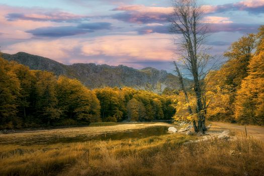 Natur