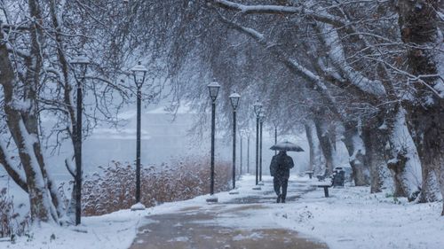 Free A person walking with an umbrella on a snowy pathway in a winter park, serene atmosphere. Stock Photo