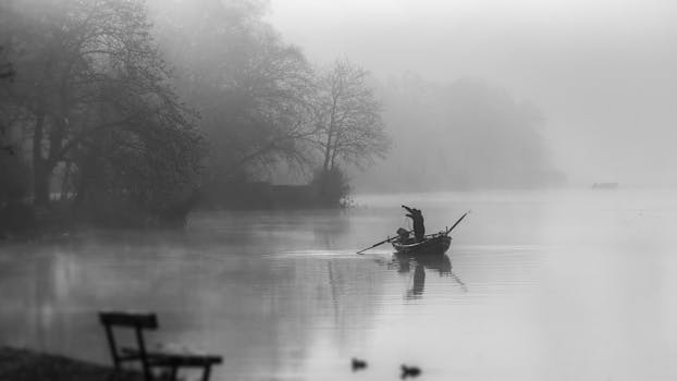 Fisherman rowing on a foggy lake with trees and mist, creating a tranquil scene.