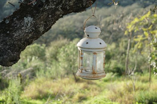 Lantern on a Meadow 