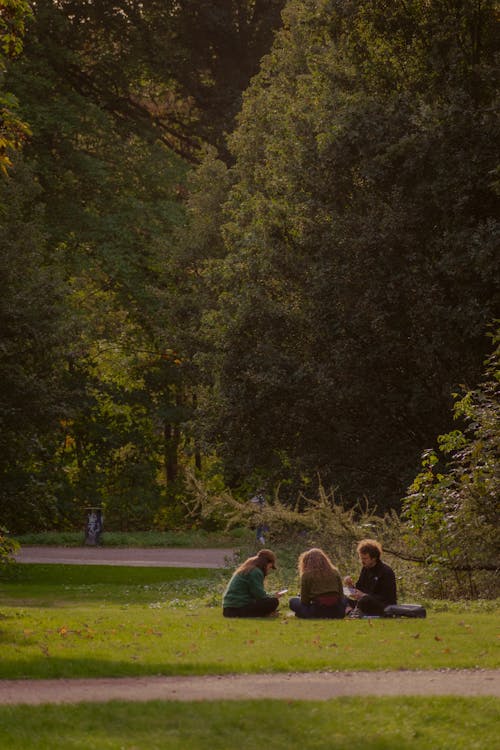 People Sitting in a Park