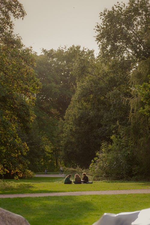 Friends on a Picnic in a Park 