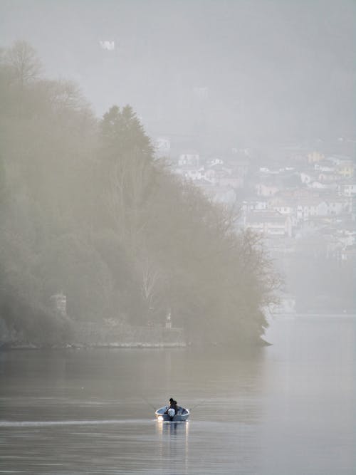 Kostnadsfri bild av barrträd, båt, dimma