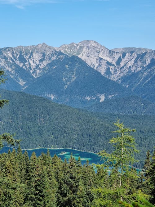 A view of the mountains and lake from a forest