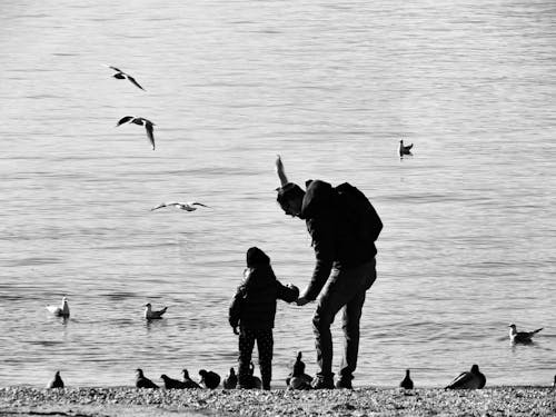 Gulls Flying around Father with Child on Lakeshore