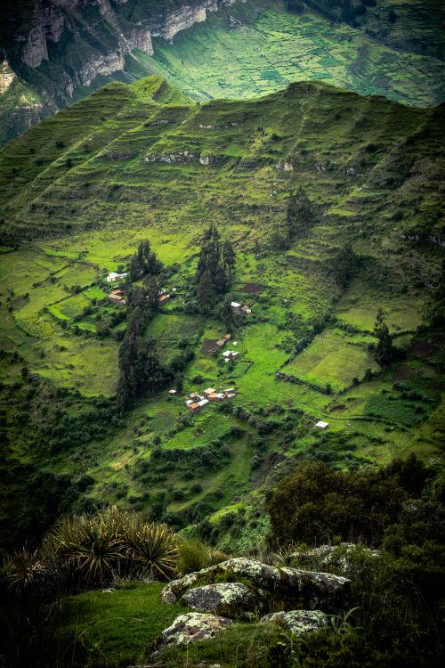 Free sendero waqrapukara Stock Photo