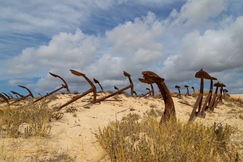 Rusty, Abandoned Anchors on Beach