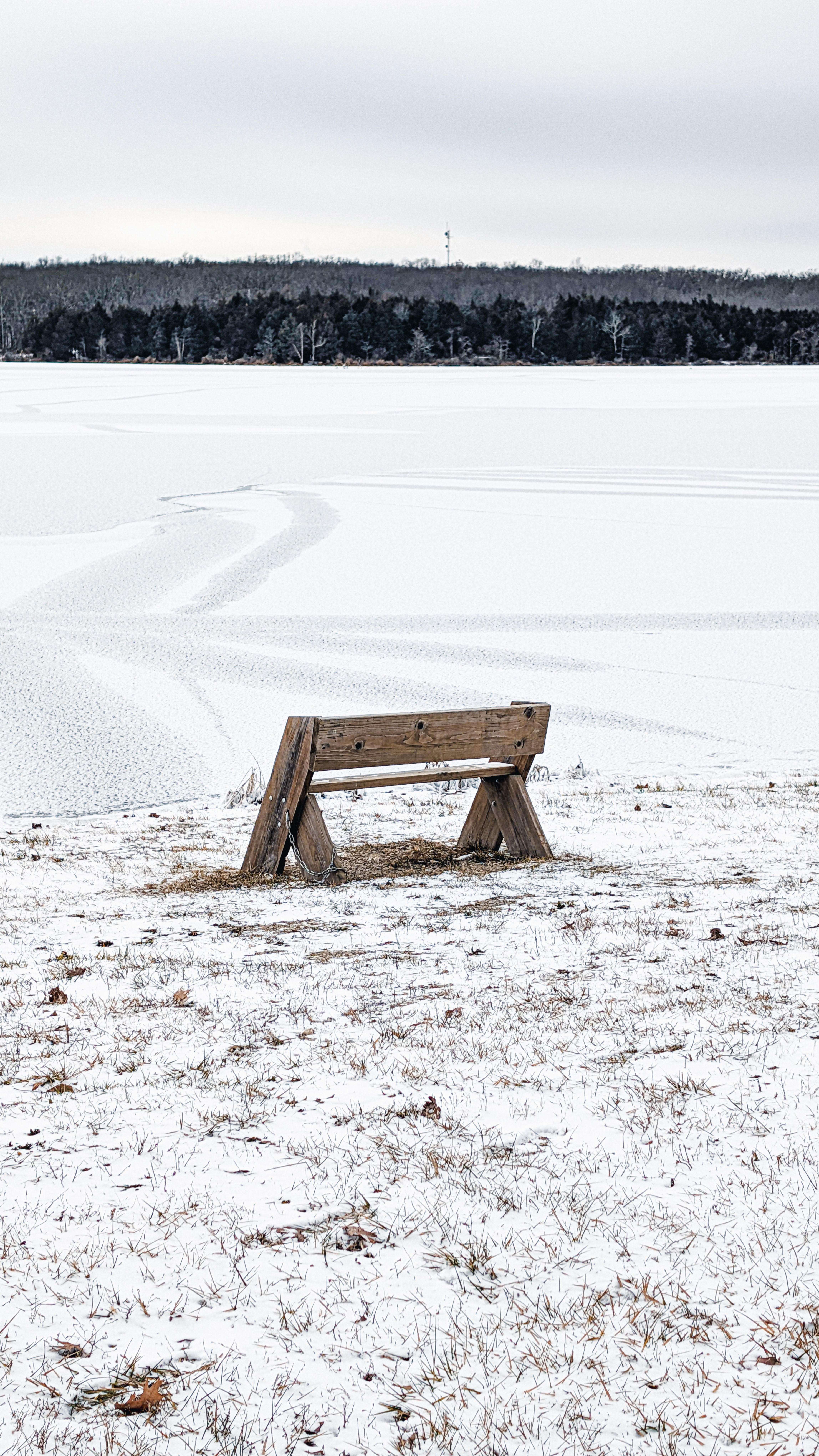 A solitary wooden bench on a snow-covered field with a serene winter landscape.