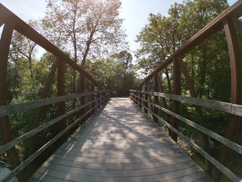 Foto stok gratis hutan, jembatan, jembatan kaki