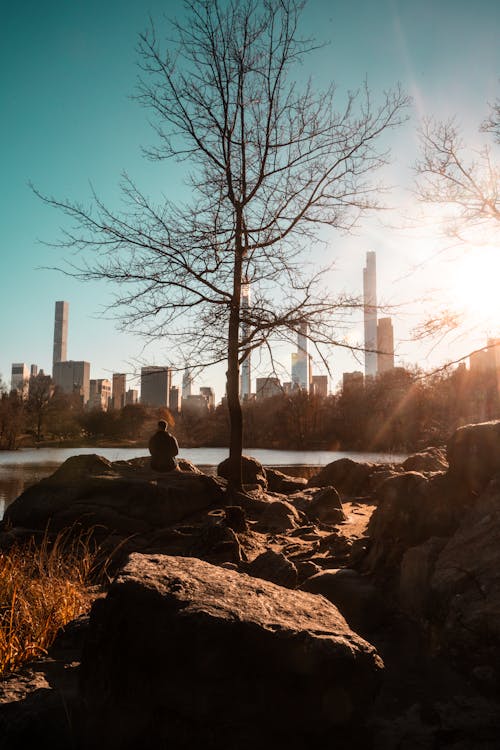 Darmowe zdjęcie z galerii z central park, nowy jork, stany